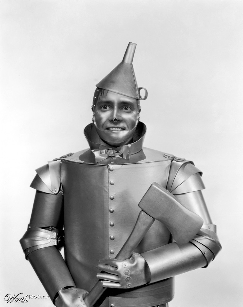 David Tennant (ex Dr Who) as the Tinman