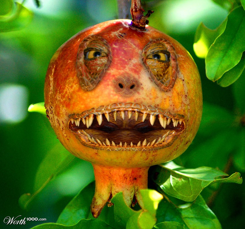 Pick Me ... If You Dare!