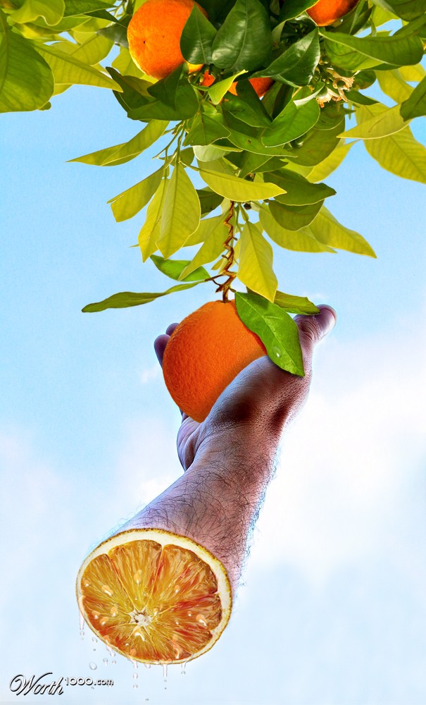 The Forbidden Orange