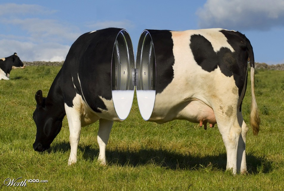 Making Milk