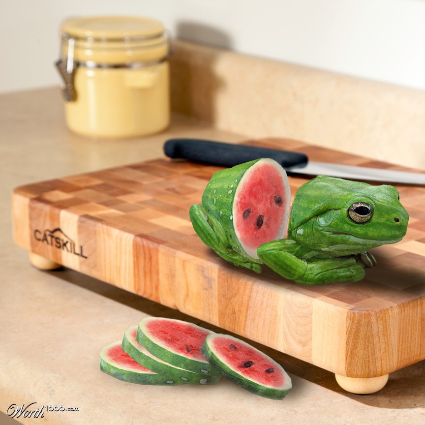 Frog Slice