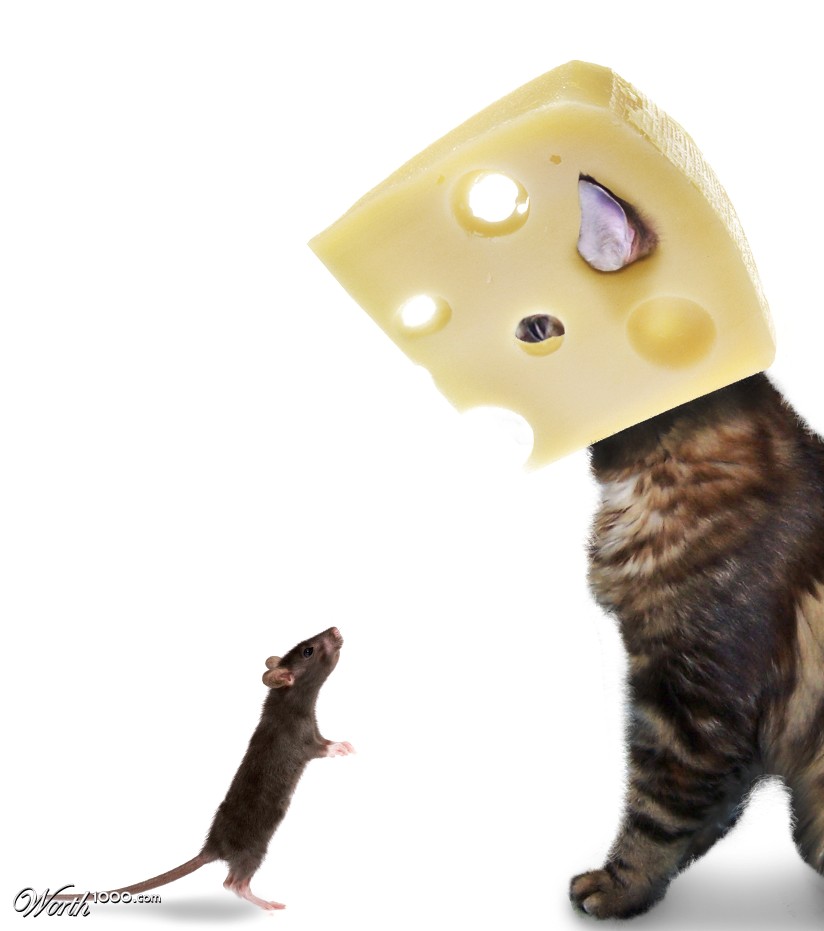 Curiosity Killed the Mouse