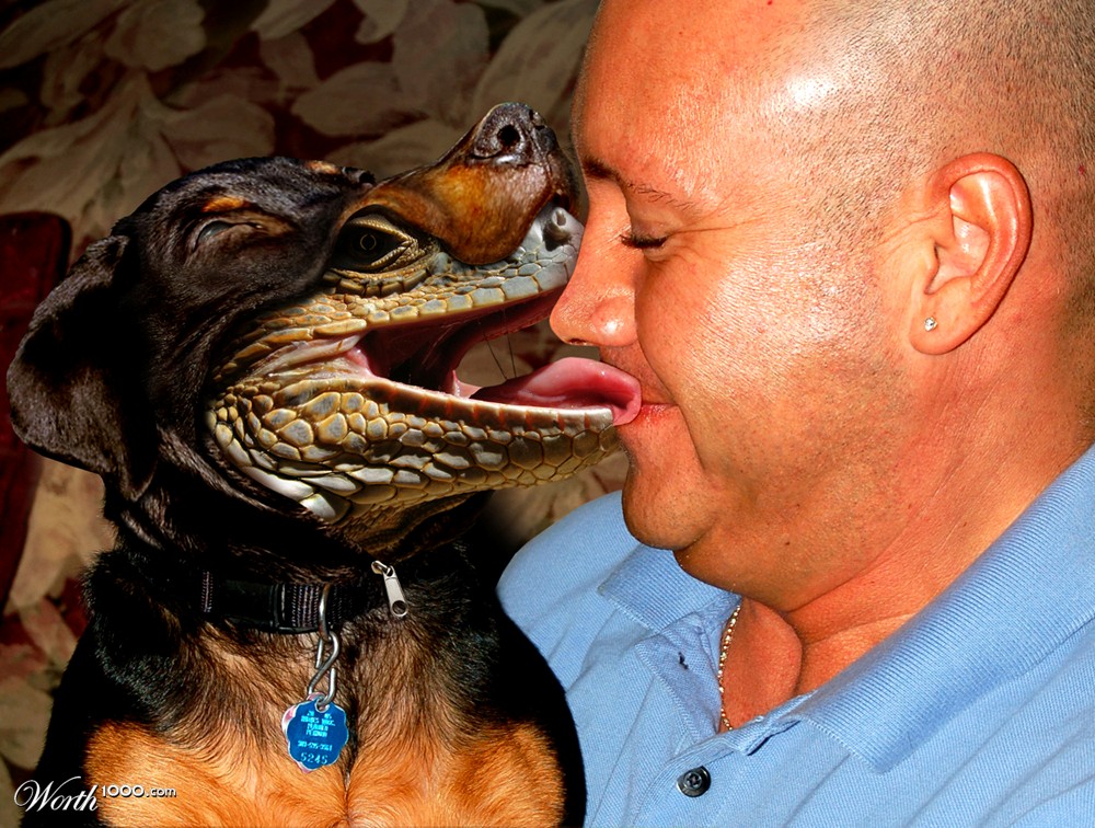 Man's Best Friend?