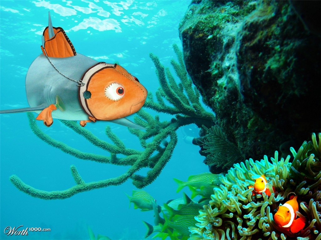 The Fish-Friendly Shark