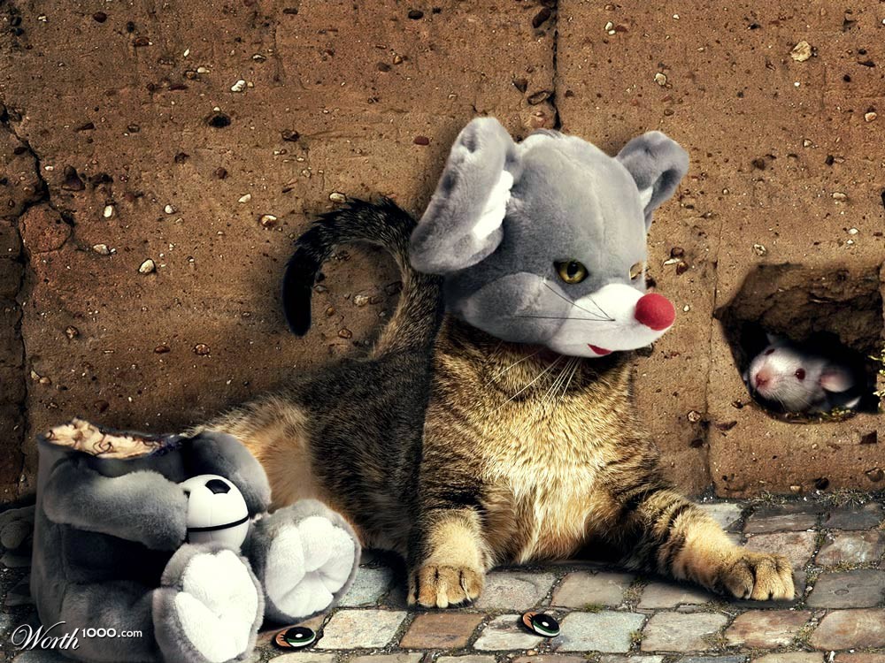Mouse head