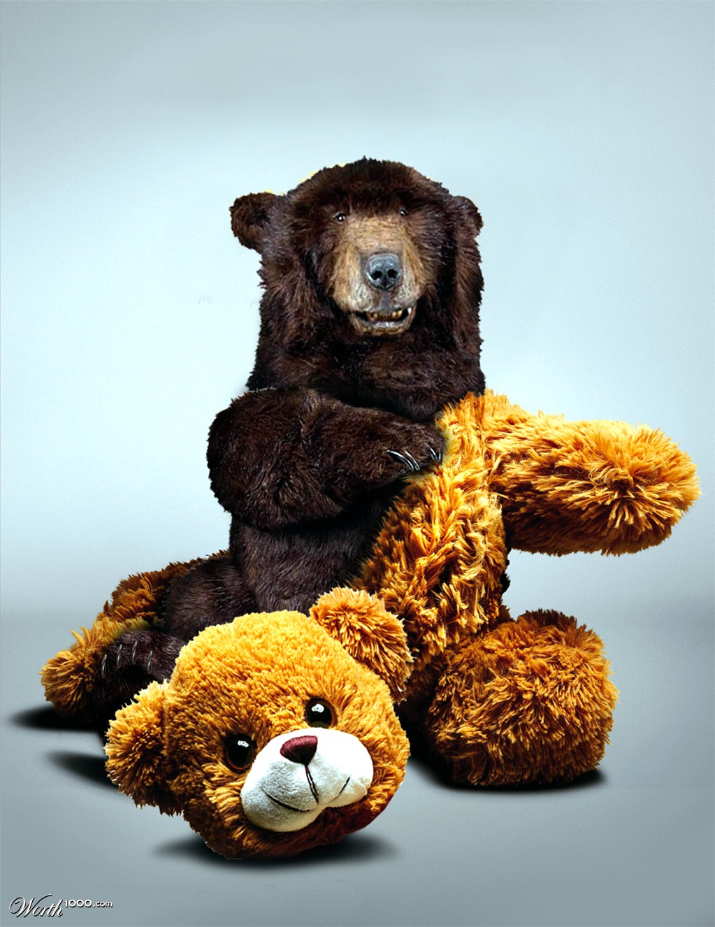 teddy bear