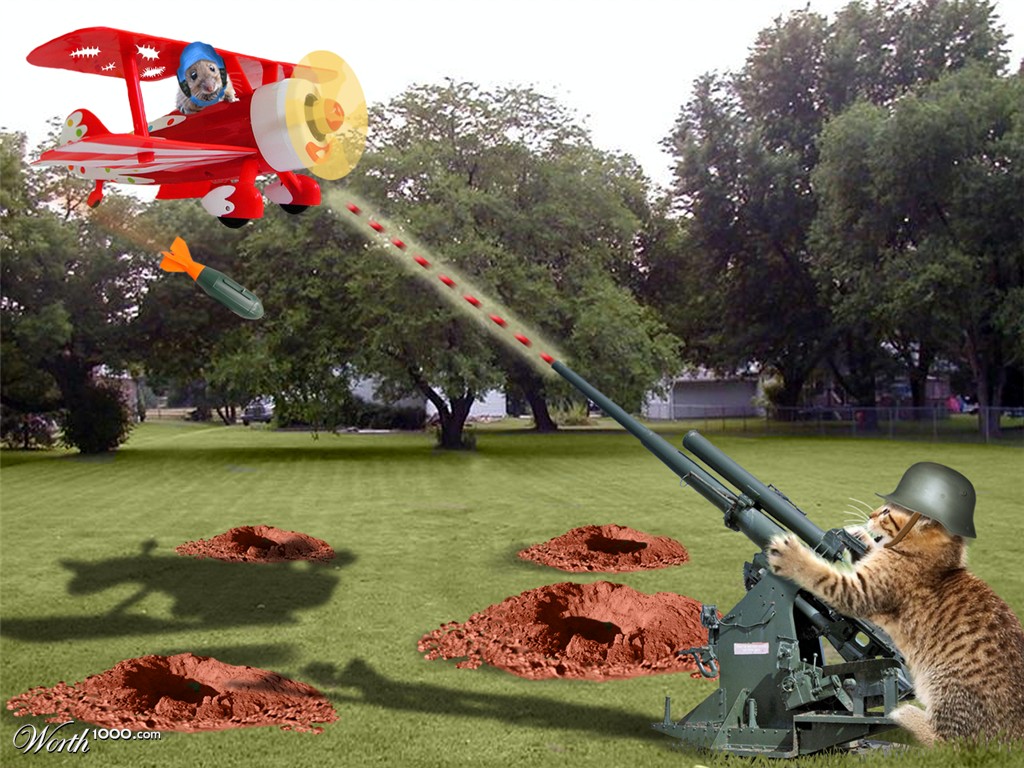 Payload Delivered