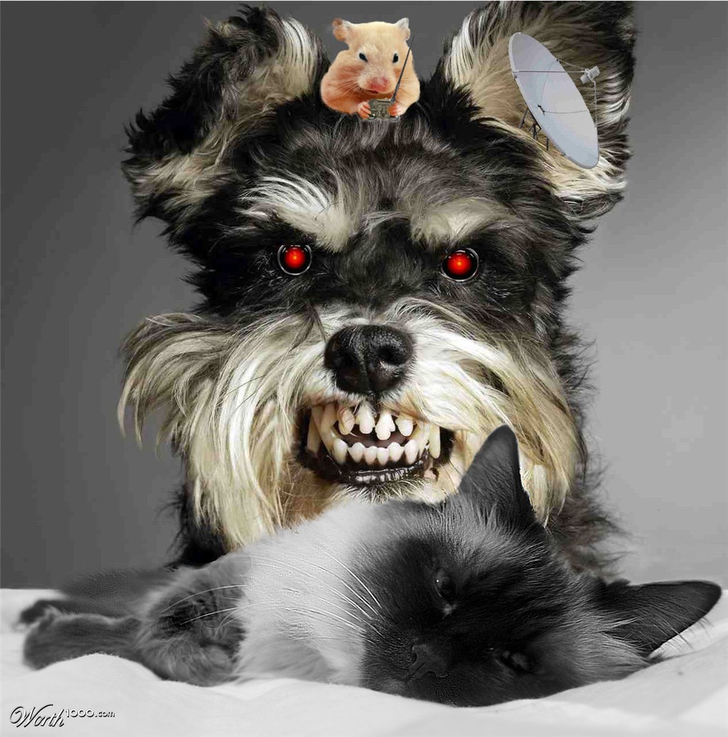 Remote Controlled Dog