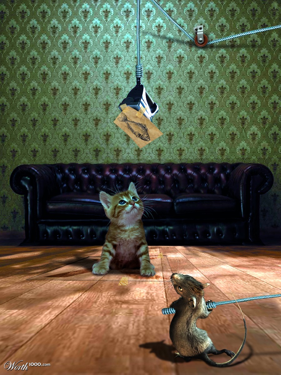 here kitty kitty!
