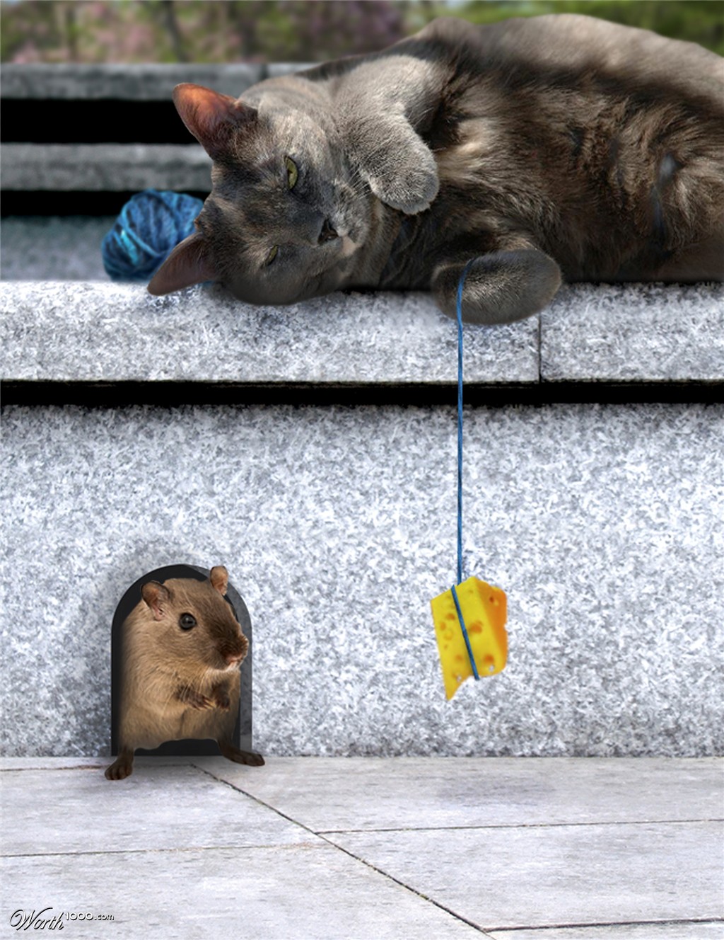 here mousy mousy mousy