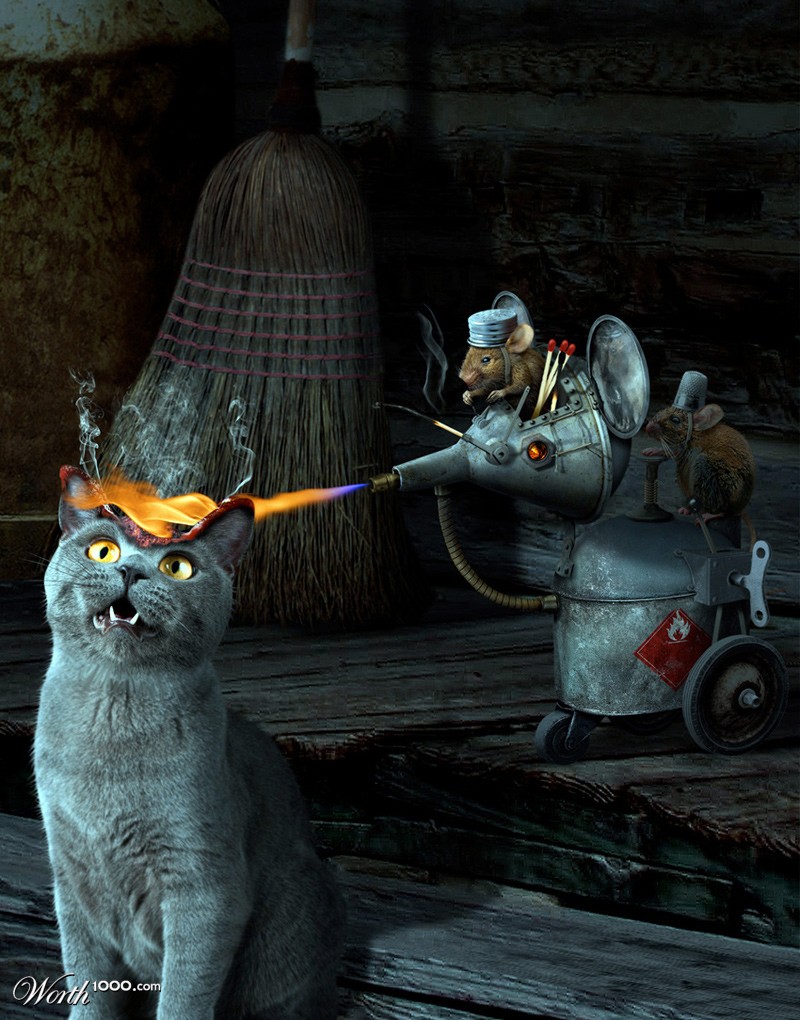 cAT-TACK!