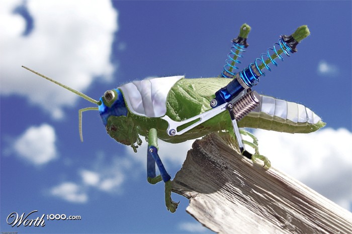 Bionic Hopper