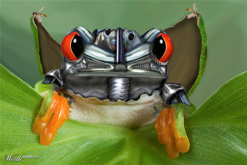 Robo Frog