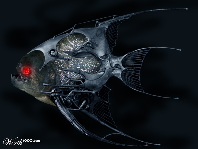 Fishbot