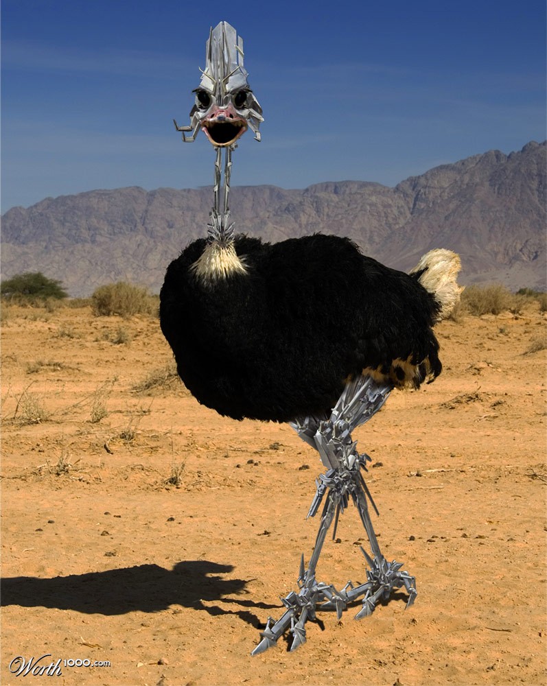 Robostrich