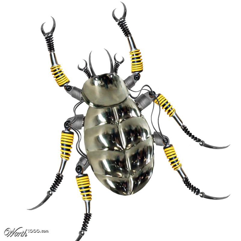Beetle