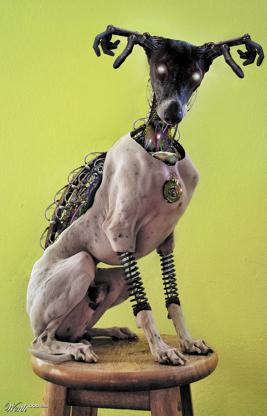 Bionic Dog