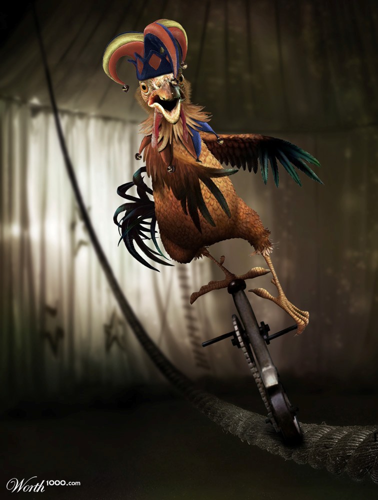 Circus