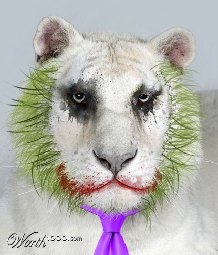 "Why so serious" tiger