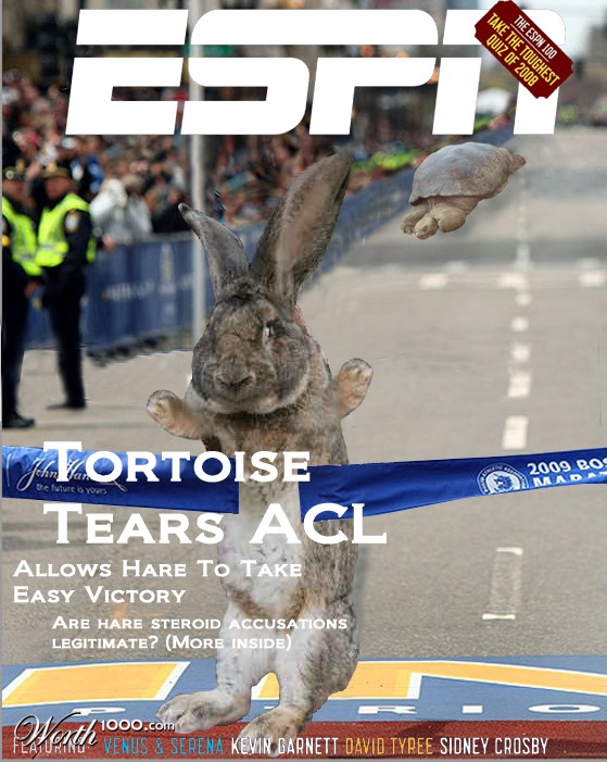 Tortoise & The Hare