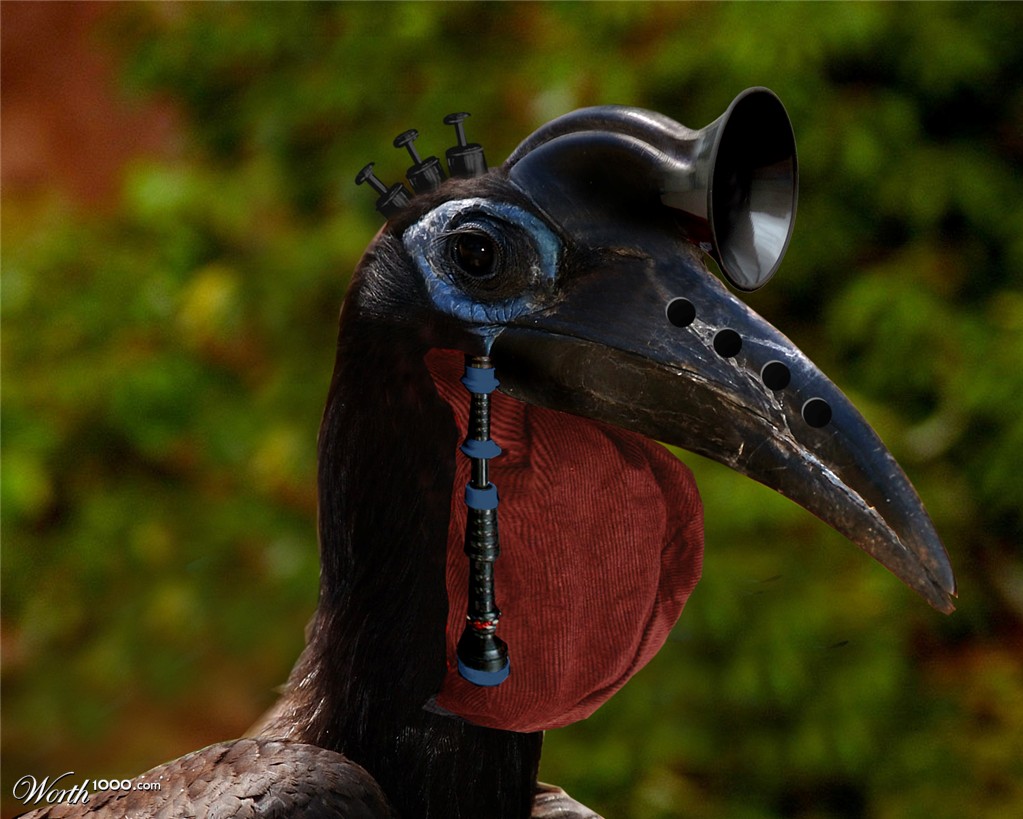 Instrument bird
