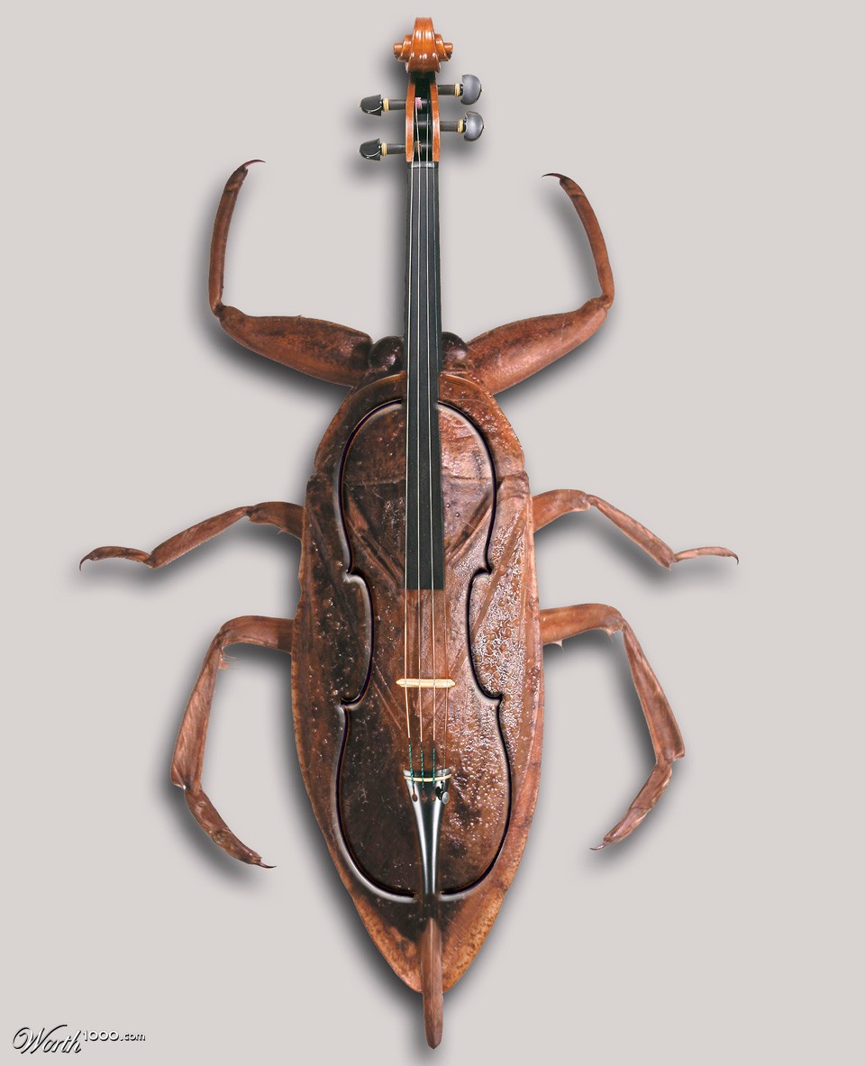 Beetle