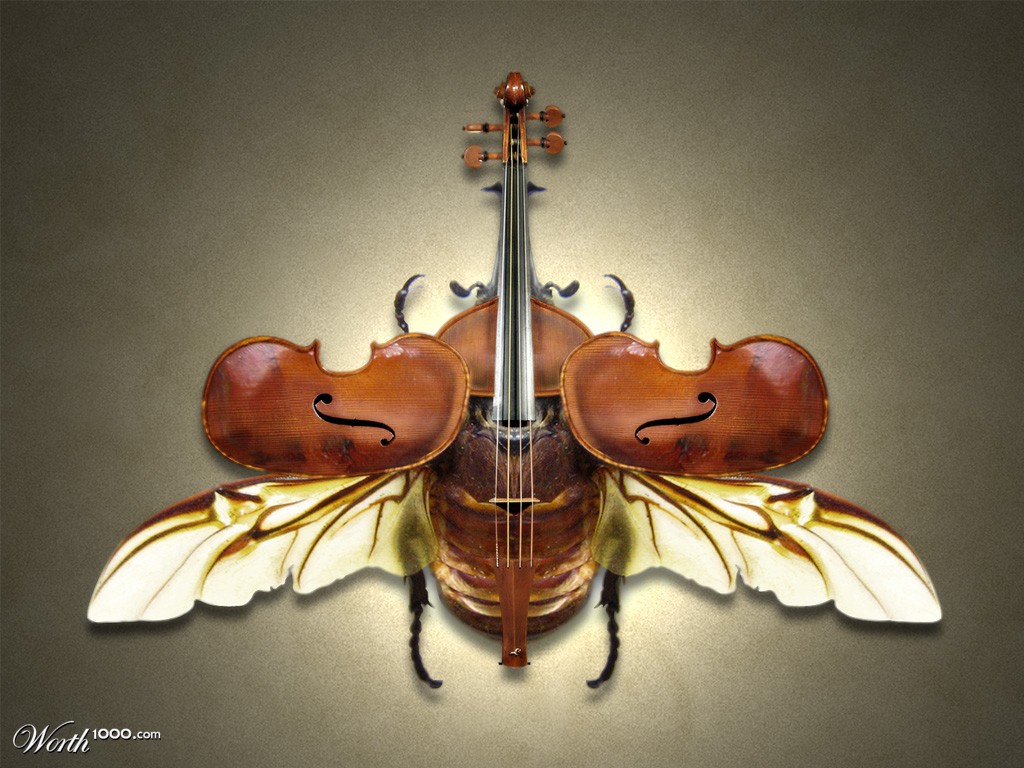 Stradivari Beatle