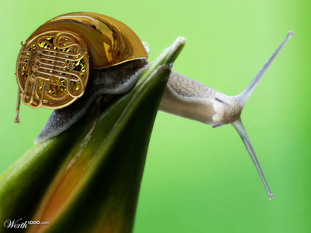 Escargot Horn