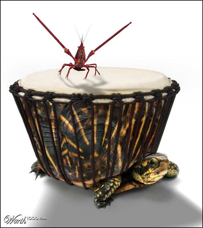 DrumTurtle and CrawStick