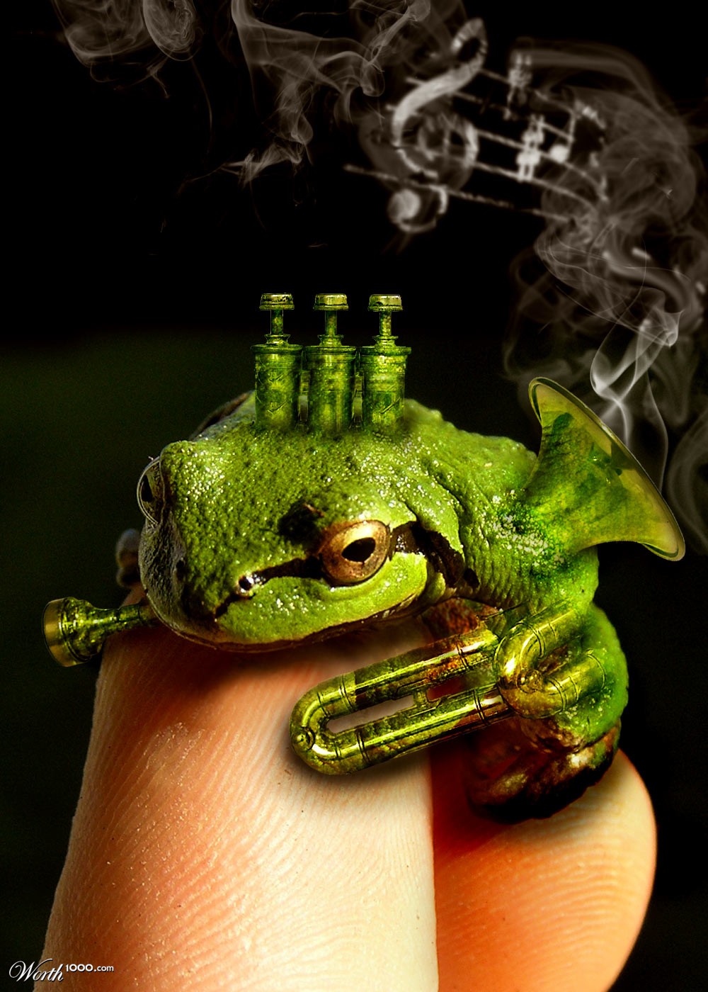 Frog Horn