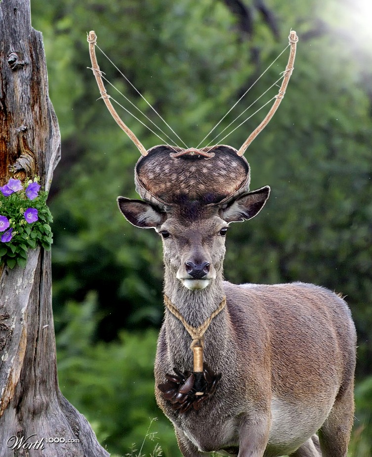Bolon Deer