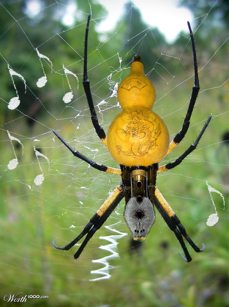 Hulusi Argiope