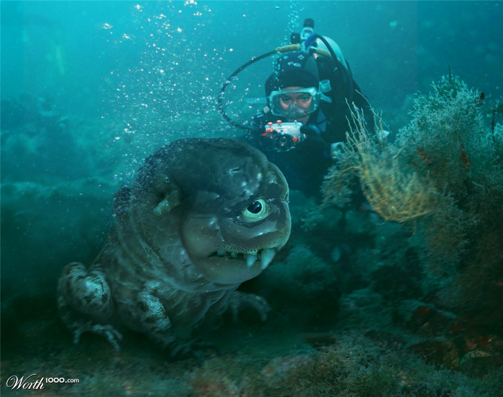 Sea Critter