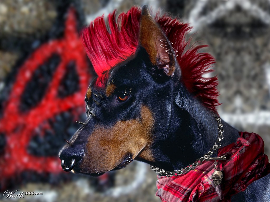Doberpunk