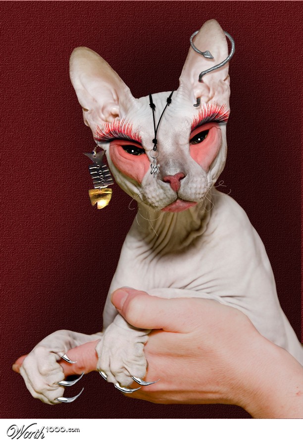 Hairless Punk