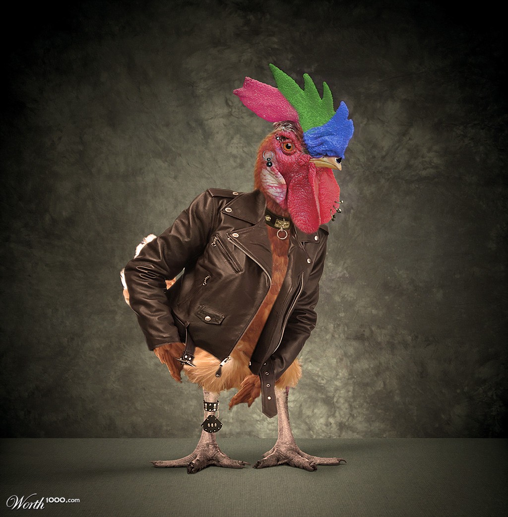 Rooster Punk