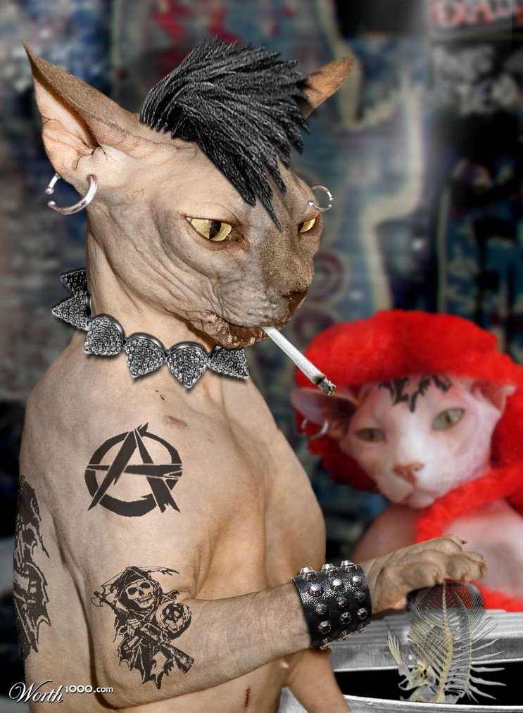 Alley Punk