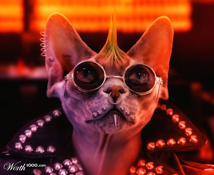 Sphynx Punk
