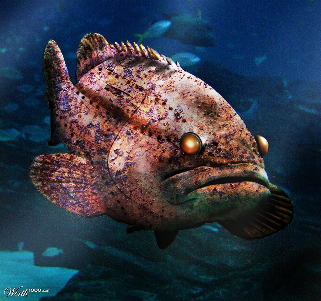 Iron Fish
