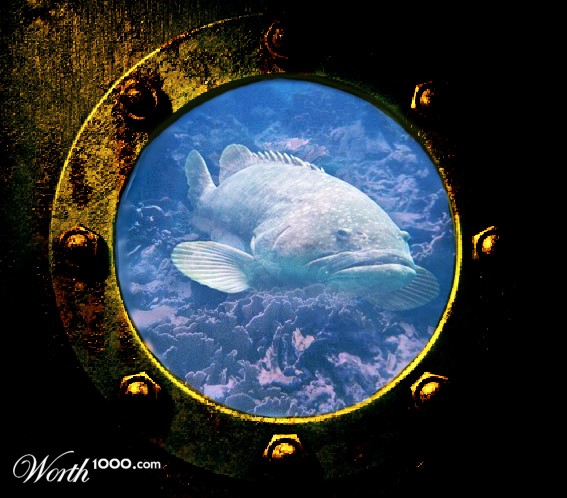 Underwater View