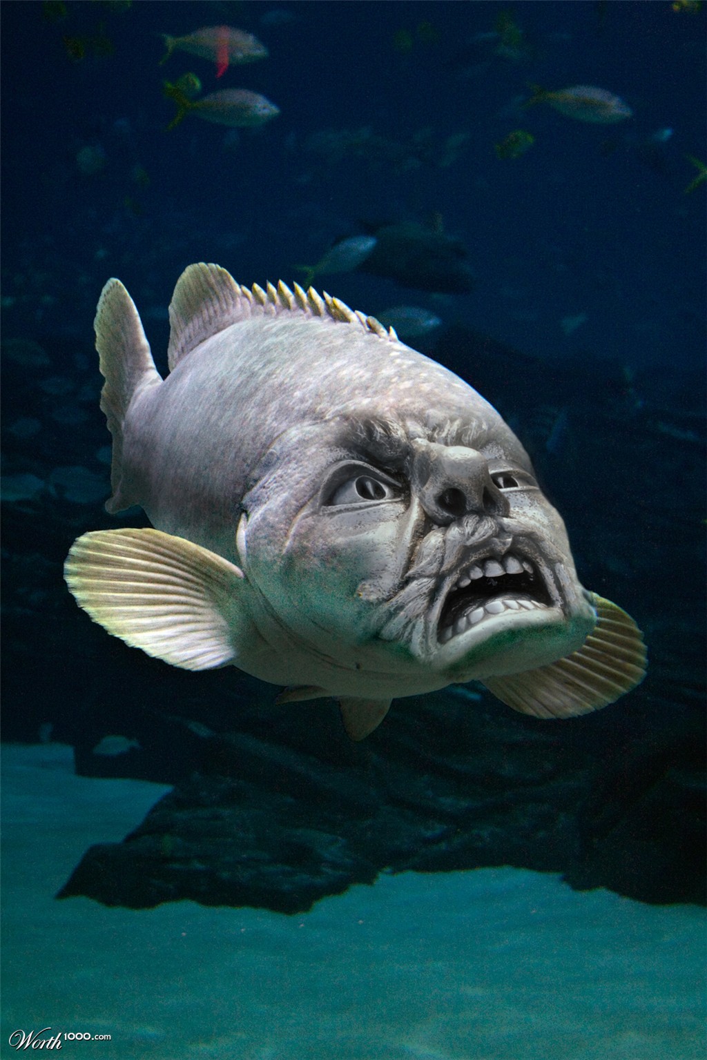 Swim here I EAT You
