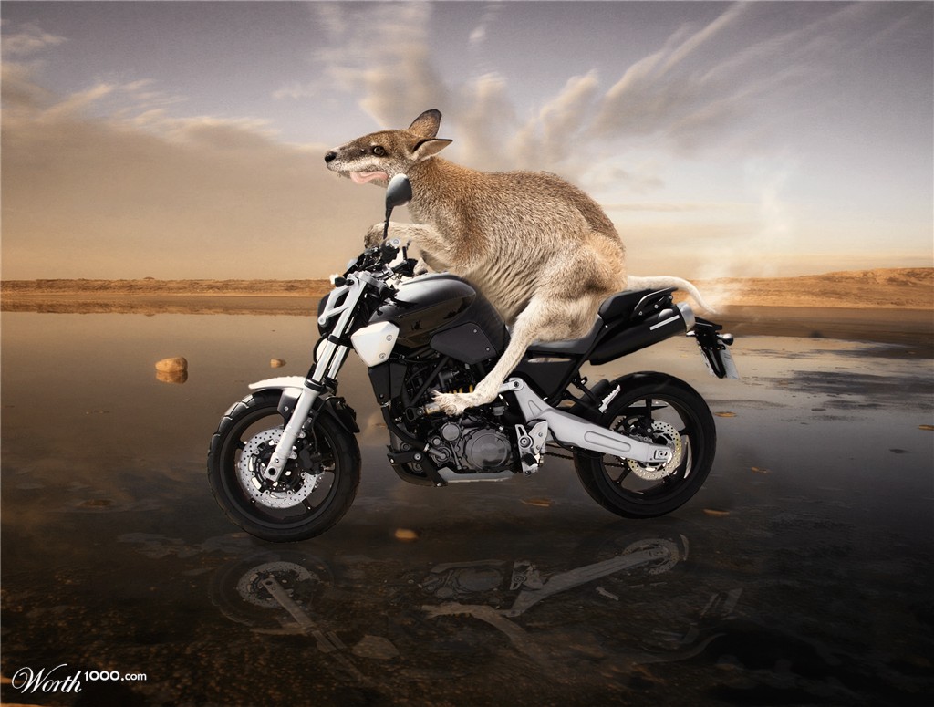 Ride on the beach