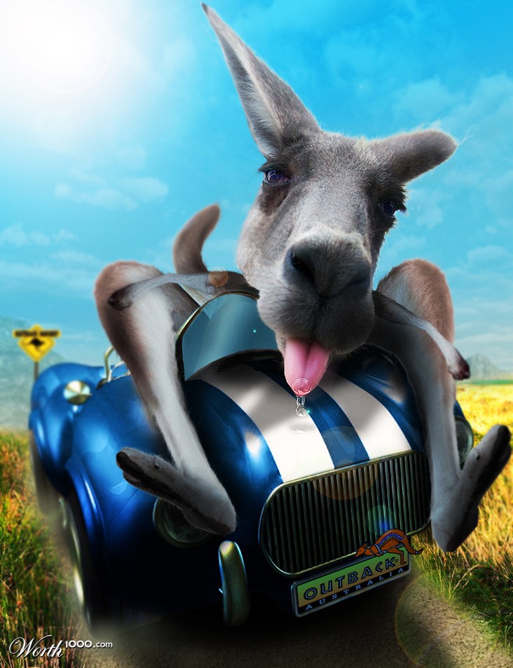 car-jack