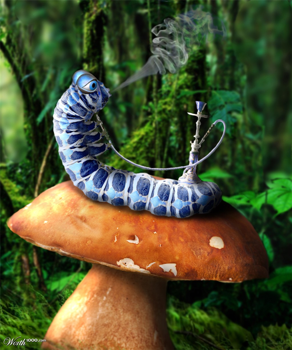 Wonderland Caterpillar