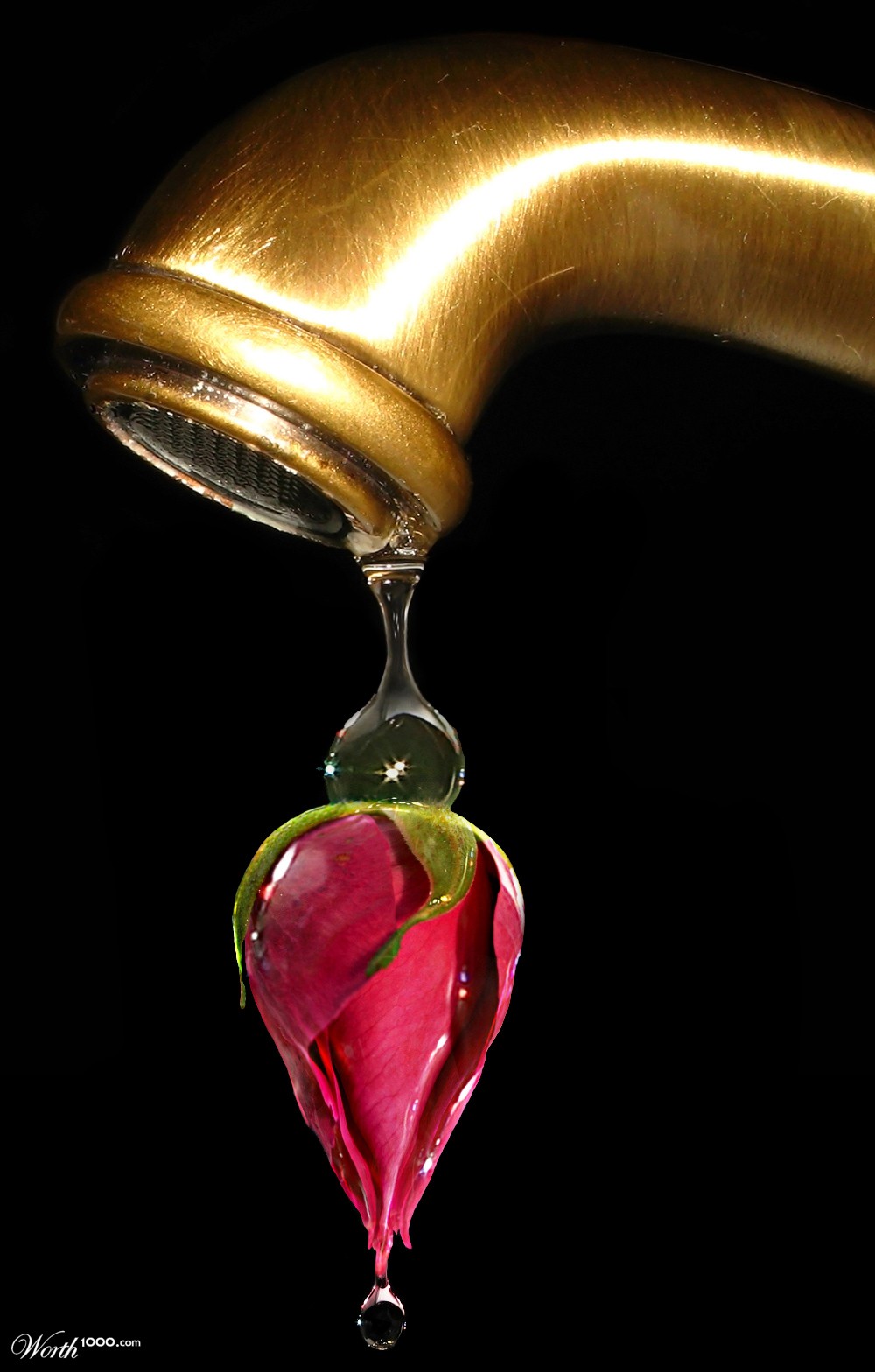 Flower Drop