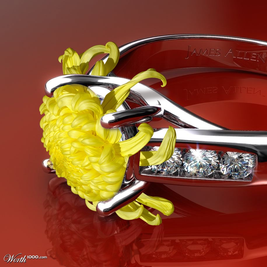With this ring...