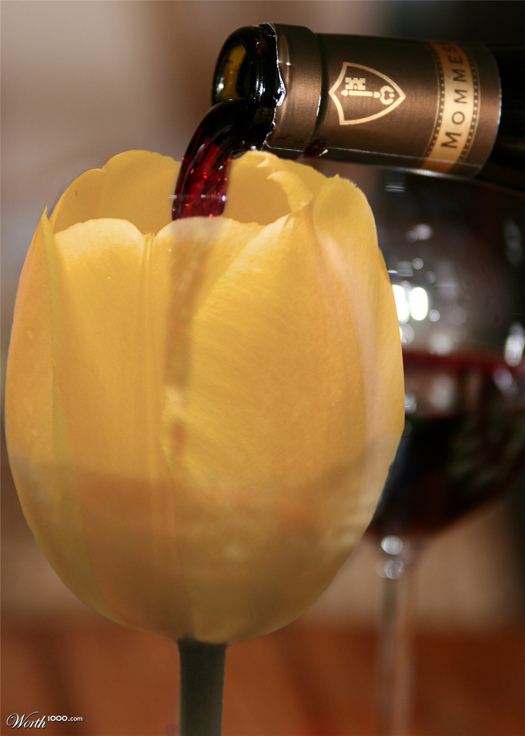 Cheers!