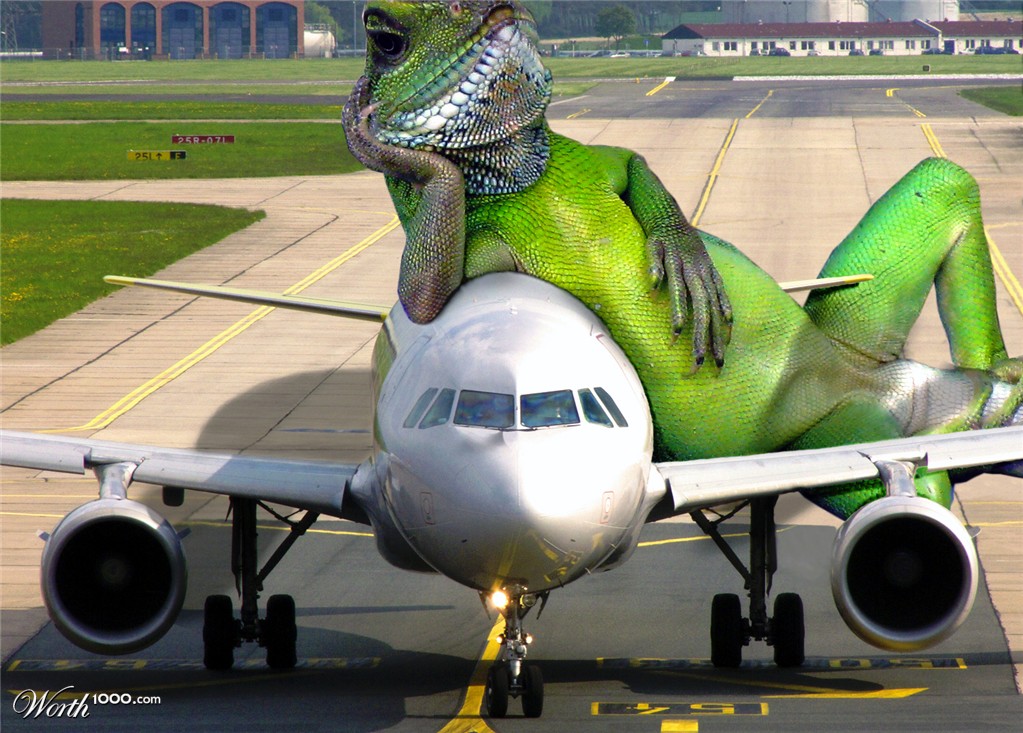 lounging lizard