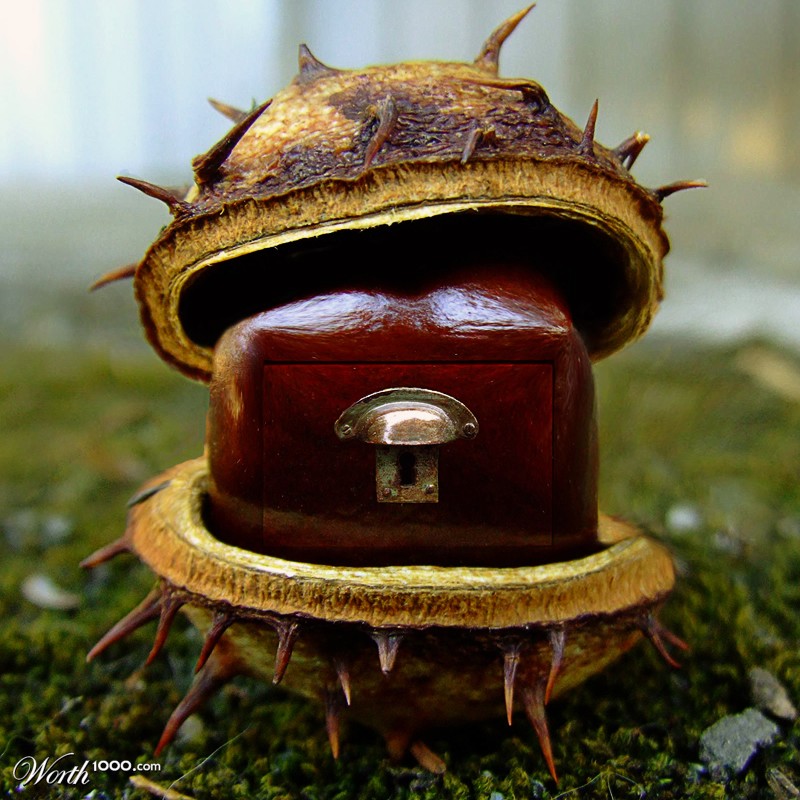Chestnut