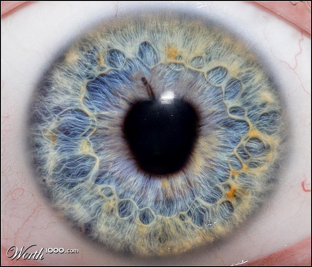 The apple of my eye
